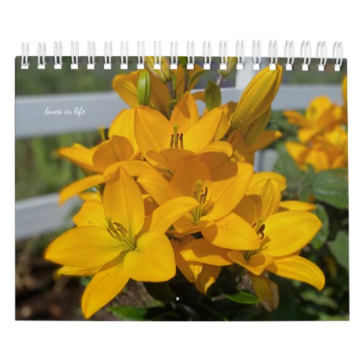 黄色い庭の花 カレンダー (カバー)