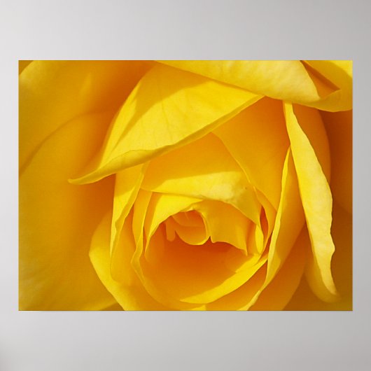 黄色い折り曲げ ポスター (正面)
