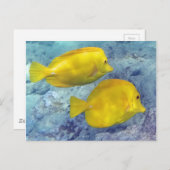 黄色い接線 ポストカード (正面/裏面)