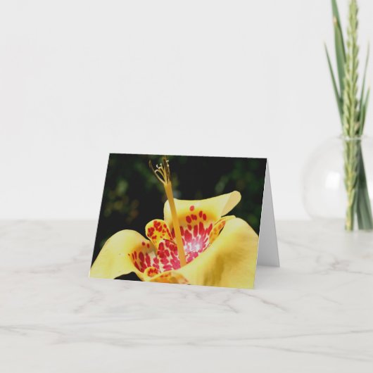 黄色い斑点のあるユリの花の写真 ノートカード (正面)
