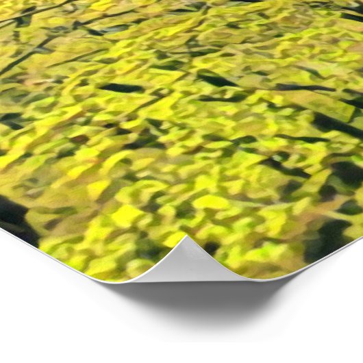 黄色い日本のイチョウの木の旅行プリント ポスター (角)