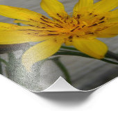 黄色い星花 フォトプリント            (角)