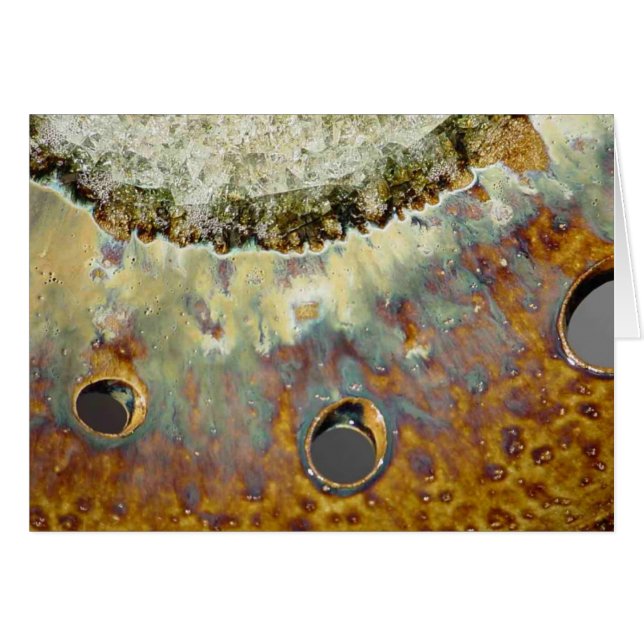 黄色い春 (正面横)