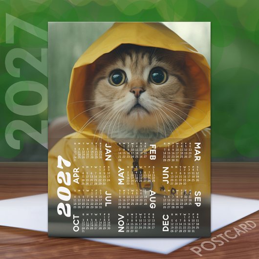 黄色い服を着たかわいい猫の2027年カレンダー ポストカード