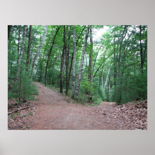 黄色い木に分かれた二つの道 ポスター (正面)