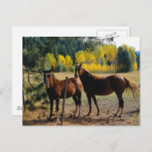 黄色い木のある馬 ポストカード (正面/裏面)