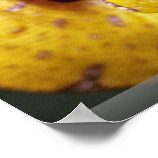 黄色い木のPython、ベビー ポスター (角)