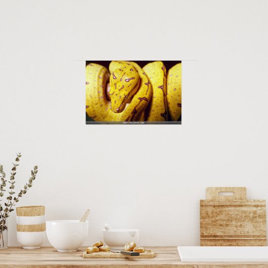 黄色い木のPython、ベビー ポスター (キッチン)