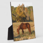黄色い木畑に茶色の馬 フォトプラーク (側面)