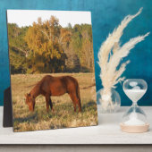黄色い木畑に茶色の馬 フォトプラーク (側面)