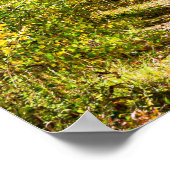 黄色い樹路//秋のハイキング ポスター (角)