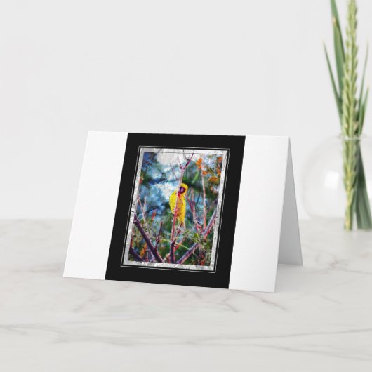 黄色い歌 カード (正面)