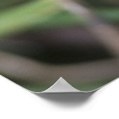 黄色い毛虫 ポスター (角)