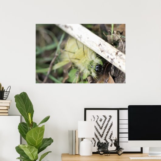 黄色い毛虫 ポスター (ホームオフィス)