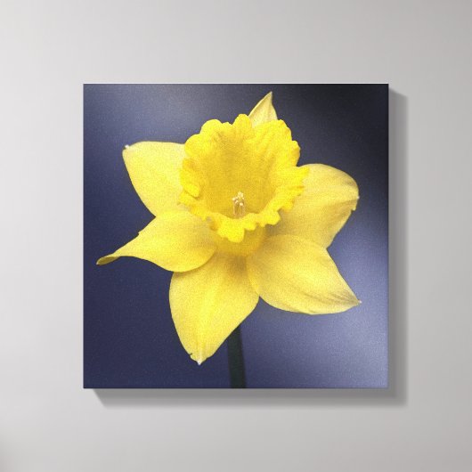 黄色い水仙の花の水彩画 キャンバスプリント (正面)