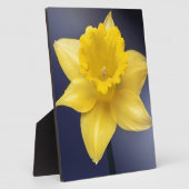 黄色い水仙の花フローラの絵を描水色 フォトプラーク (側面)