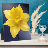 黄色い水仙の花フローラの絵を描水色 フォトプラーク (側面)