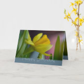 黄色い水仙の花CC0743ハッピーバースデー カード (黄色い花)