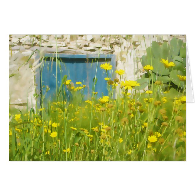 黄色い水色の花 (正面横)