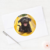 黄色い滑り台を滑る幸せな黒ラブラドール子犬 ラウンドシール (封筒)