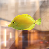 黄色い熱帯魚 ウィンドウサイン (シート2)