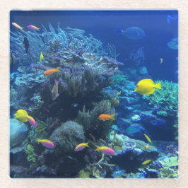 黄色い熱帯魚 ガラスコースター