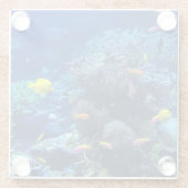 黄色い熱帯魚 ガラスコースター (裏面)