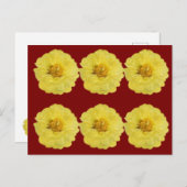 黄色い牡丹はがき黄色い牡丹のポストカード。 ポストカード (正面/裏面)