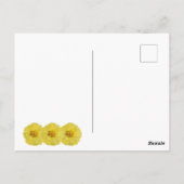 黄色い牡丹はがき黄色い牡丹のポストカード。 ポストカード (裏面)