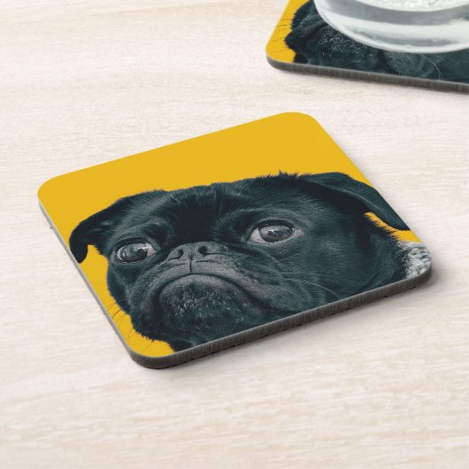 黄色い犬 コースター (左側)