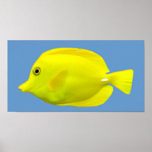 黄色い独特の味の熱帯魚 ポスター
