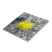 黄色い独特の味の魚 タイル (側面)