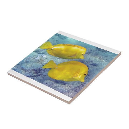 黄色い独特の味 タイル (側面)