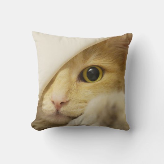 黄色い猫が覗き見ている クッション (正面)