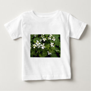 黄色い白いバイオレット(ビオラCanadensis)の花 ベビーTシャツ