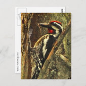 黄色い皮のサプカー葉書 ポストカード (正面/裏面)