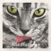 黄色い目が手をなめる灰色の猫 ガラスコースター (正面)