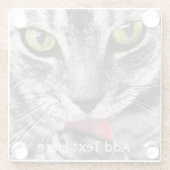 黄色い目が手をなめる灰色の猫 ガラスコースター (裏面)