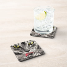 黄色い目が手をなめる灰色の猫