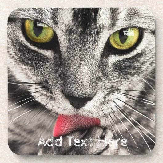 黄色い目が手をなめる灰色の猫 コースター (正面)