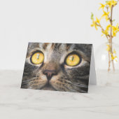 黄色い目の猫のクローズアップ カード (黄色い花)