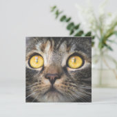 黄色い目の猫のクローズアップ カード (スタンド正面)