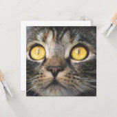 黄色い目の猫のクローズアップ カード (正面/裏面インサイチュ)