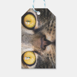 黄色い目の猫のクローズアップ ギフトタグ