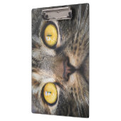 黄色い目の猫のクローズアップ クリップボード (左)