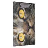 黄色い目の猫のクローズアップ クリップボード (右)