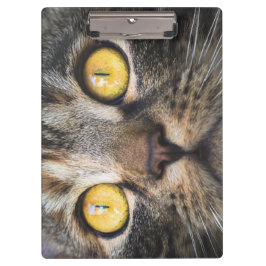 黄色い目の猫のクローズアップ クリップボード