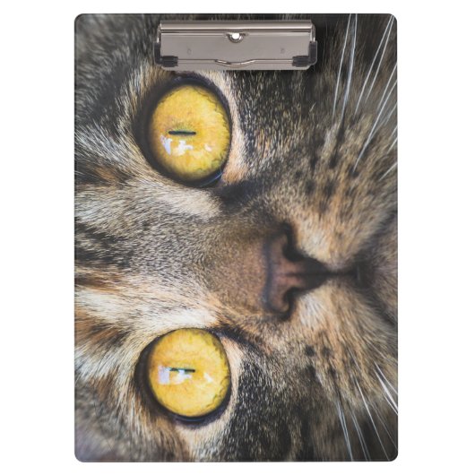 黄色い目の猫のクローズアップ クリップボード (正面)