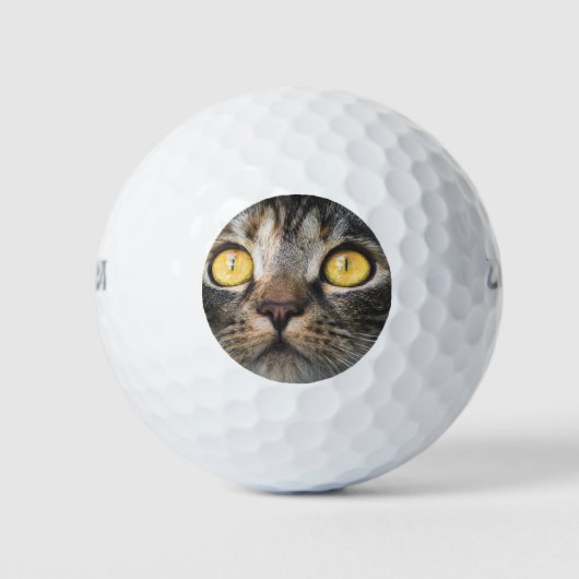 黄色い目の猫のクローズアップ ゴルフボール (正面)
