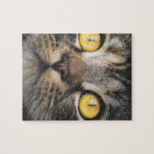 黄色い目の猫のクローズアップ ジグソーパズル (横)